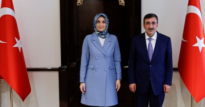 VALİ YİĞİTBAŞI, CUMHURBAŞKANI YARDIMCISI İLE GÖRÜŞTÜ   