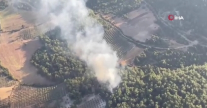 ORMAN YANGININA HAVADAN VE KARADAN MÜDAHALE EDİLİYOR