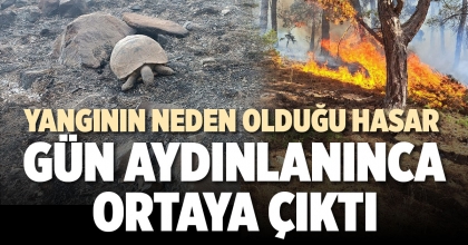 YANGININ NEDEN OLDUĞU HASAR  GÜN AYDINLANINCA ORTAYA ÇIKTI 