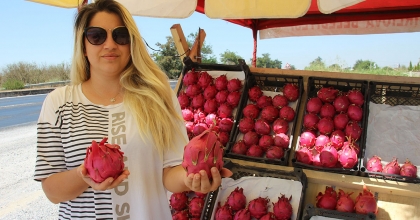 YEDİĞİ MEYVE HAYATINI DEĞİŞTİRDİ, KENDİ İŞİNİN PATRONU OLDU   