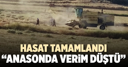 HASAT TAMAMLANDI, “ANASONDA VERİM DÜŞTÜ”