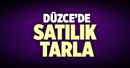 Satılık Tarla Düzce İlanı