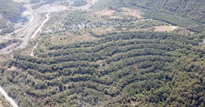  MUĞLA VALİLİĞİ: AKBELEN'E İZİN SAHİBİ 130 BİN FİDAN DİKECEK 