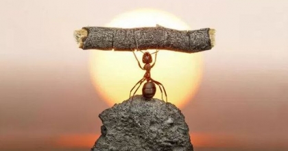 Zor Engellerle Başa Çıkma Yolları