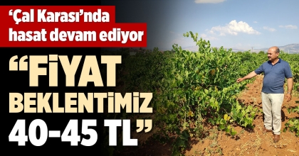 'ÇAL KARASI’NDA HASAT DEVAM EDİYOR