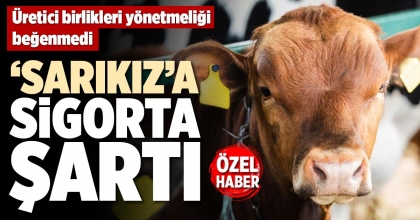 KÖY KOOP BAŞKANI VAROL, “YÖNETMELİĞİN UYGULANMASI ZOR”