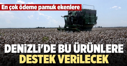 DENİZLİ'DE BU ÜRÜNLERE DESTEK VERİLECEK