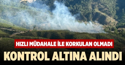 HONAZ’DAKİ ORMAN YANGINI KONTROL ALTINA ALINDI