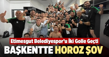 BAŞKENTTE HOROZ ŞOV