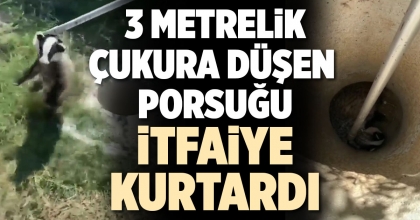 3 METRELİK ÇUKURA DÜŞEN PORSUĞU İTFAİYE KURTARDI