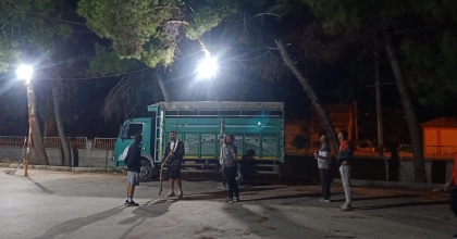 AĞAÇTA MAHSUR KALDI