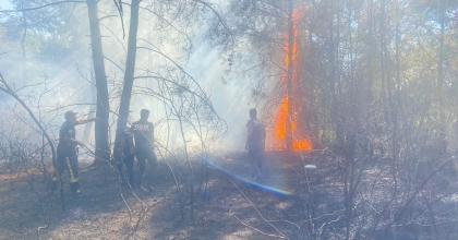 YENİDEN BAŞLAYAN YANGIN TEKRAR SÖNDÜRÜLDÜ