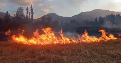 ANIZ YAKIMINA KARŞI UYARI
