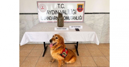 AYDIN’DA SON 1 AYDA 305 ŞÜPHELİ YAKALANDI