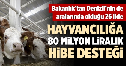 BAKANLIKTAN DAMIZLIK DÜVE YETİŞTİRME MERKEZİ VE DÜVE ALIM DESTEĞİ