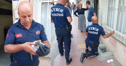 BODRUM HAVALANDIRMASINA DÜŞEN YAVRU KEDİYİ, İTFAİYE KURTARDI