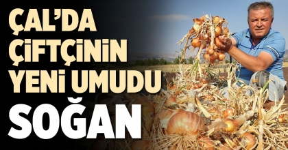 ÇAL’DA ÇİFTÇİNİN YENİ UMUDU SOĞAN