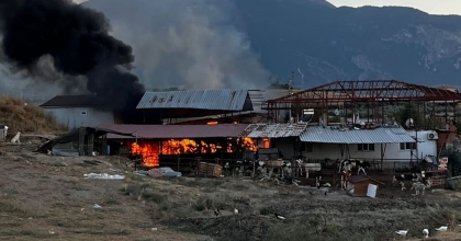 ÇİFTLİKTEKİ SAMANLAR ALEV ALEV YANDI, ÇOK SAYIDA HAYVAN SON ANDA KURTARILDI
