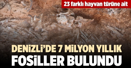 DENİZLİ’DE 7 MİLYON YILLIK FOSİLLER BULUNDU