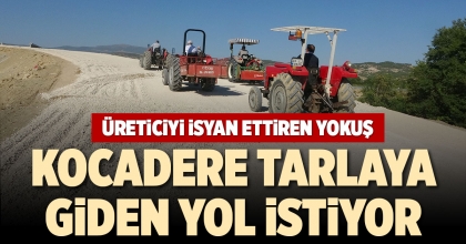 DENİZLİ'DE ÜRETİCİYİ İSYAN ETTİREN YOKUŞ