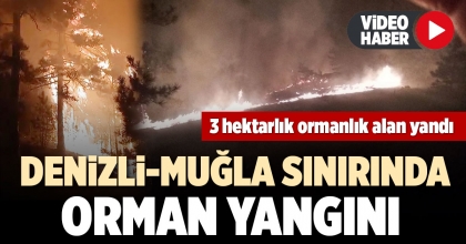 DENİZLİ-MUĞLA SINIRINDA ORMAN YANGINI