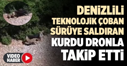 DENİZLİLİ TEKNOLOJİK ÇOBAN SÜRÜYE SALDIRAN KURDU DRONLA TAKİP ETTİ