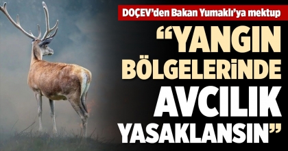 DOÇEV’DEN BAKAN YUMAKLI’YA MEKTUP