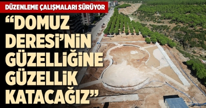 DOMUZ DERESİ'NDE DÜZENLEME ÇALIŞMALARI SÜRÜYOR