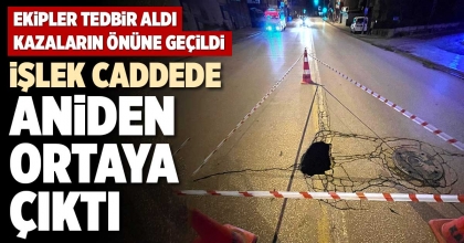 İŞLEK CADDENİN ORTASINDA ANİDEN ORTAYA ÇIKTI