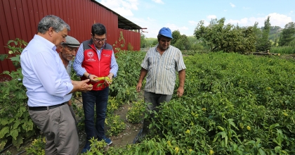 GAZELLER’DE YAŞANAN DOLU OLAYINDA ZARAR 1 MİLYON 617 BİN TL