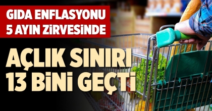 GIDA ENFLASYONU 5 AYIN ZİRVESİNDE