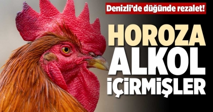 HOROZA ALKOL İÇİRMİŞLER