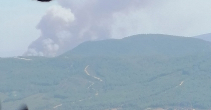 İZMİR'DE ORMANLIK ALANDA YANGIN  