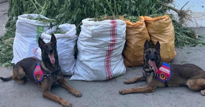  JANDARMADAN UYUŞTURUCU TACİRLERİNE DARBE