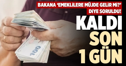 KALDI SON 1 GÜN