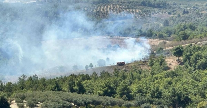 KUŞADASI’NDAKİ ORMAN YANGINI BÜYÜMEDEN SÖNDÜRÜLDÜ  