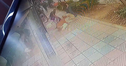 MANİSA’DA BAŞIBOŞ PİTBULL DEHŞET SAÇTI  