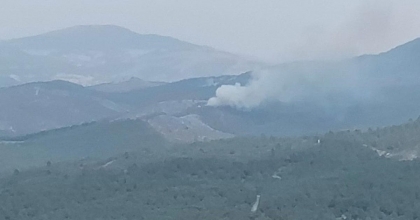 MANİSA'DAKİ ORMAN YANGINI KONTROL ALTINDA