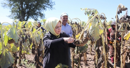 MİLLETVEKİLİ ÜN SORUNLARI YERİNDE İNCELEDİ