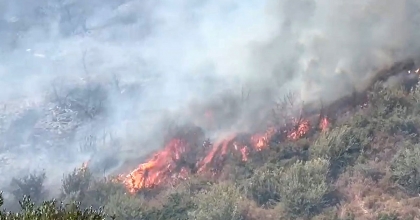 SÖKE'DE OTLUK ALANDA BAŞLAYAN YANGIN ORMANLIK ALANA SIÇRADI