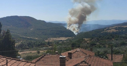 SOMA’DA ORMAN YANGINI  