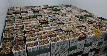 TARİŞ KURU İNCİR FİYATLARINI GÜNCELLEDİ