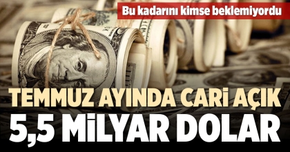 TEMMUZ AYINDA CARİ AÇIK 5,5 MİLYAR DOLAR