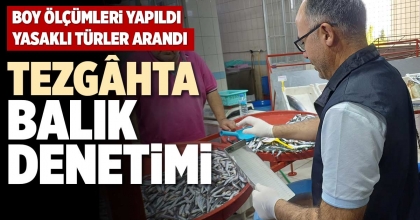 TEZGÂHTA BALIK DENETİMİ