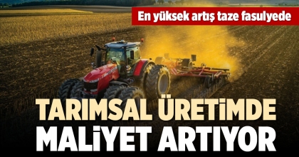 TÜİK AĞUSTOS AYI TARIM-ÜFE VERİLERİNİ AÇIKLADI