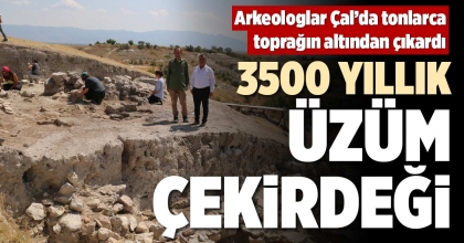 3500 YILLIK ÜZÜM ÇEKİRDEĞİ