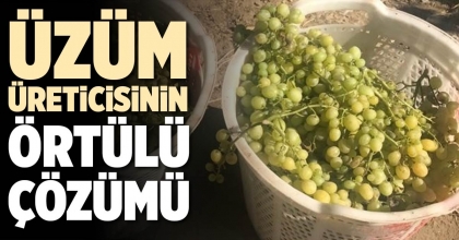 ÜZÜM ÜRETİCİSİNİN ÖRTÜLÜ ÇÖZÜMÜ