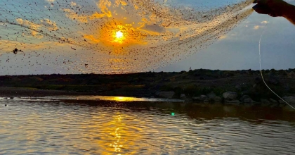 YASA DIŞI SU ÜRÜNLERİ AVCILIĞINA ÇAPRAZ DENETİM