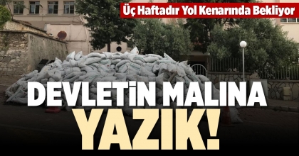 DEVLETİN MALINA YAZIK!
