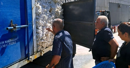 ÇİFTÇİNİN SİGORTASI SÖKE TARİŞ'E İLK PAMUK TESLİMİ YAPILDI